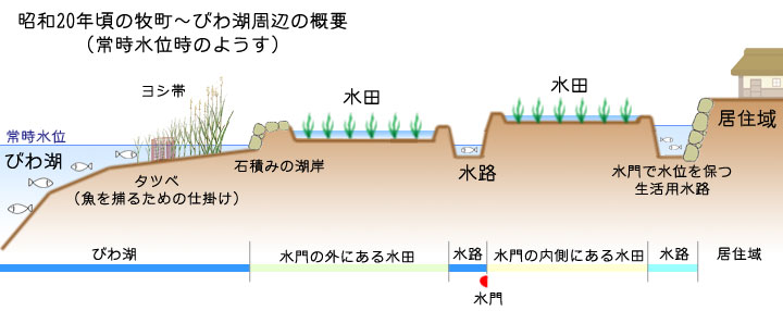 イラスト：昭和初期の牧町～びわ湖周辺の概要（常時水位時のようす）